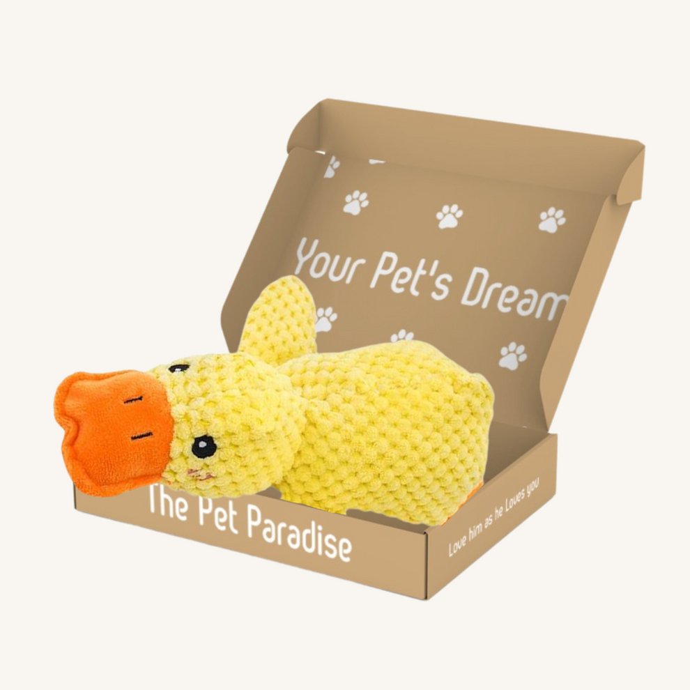 Calming Duck (1+1 FREE) – The Pet Paradise