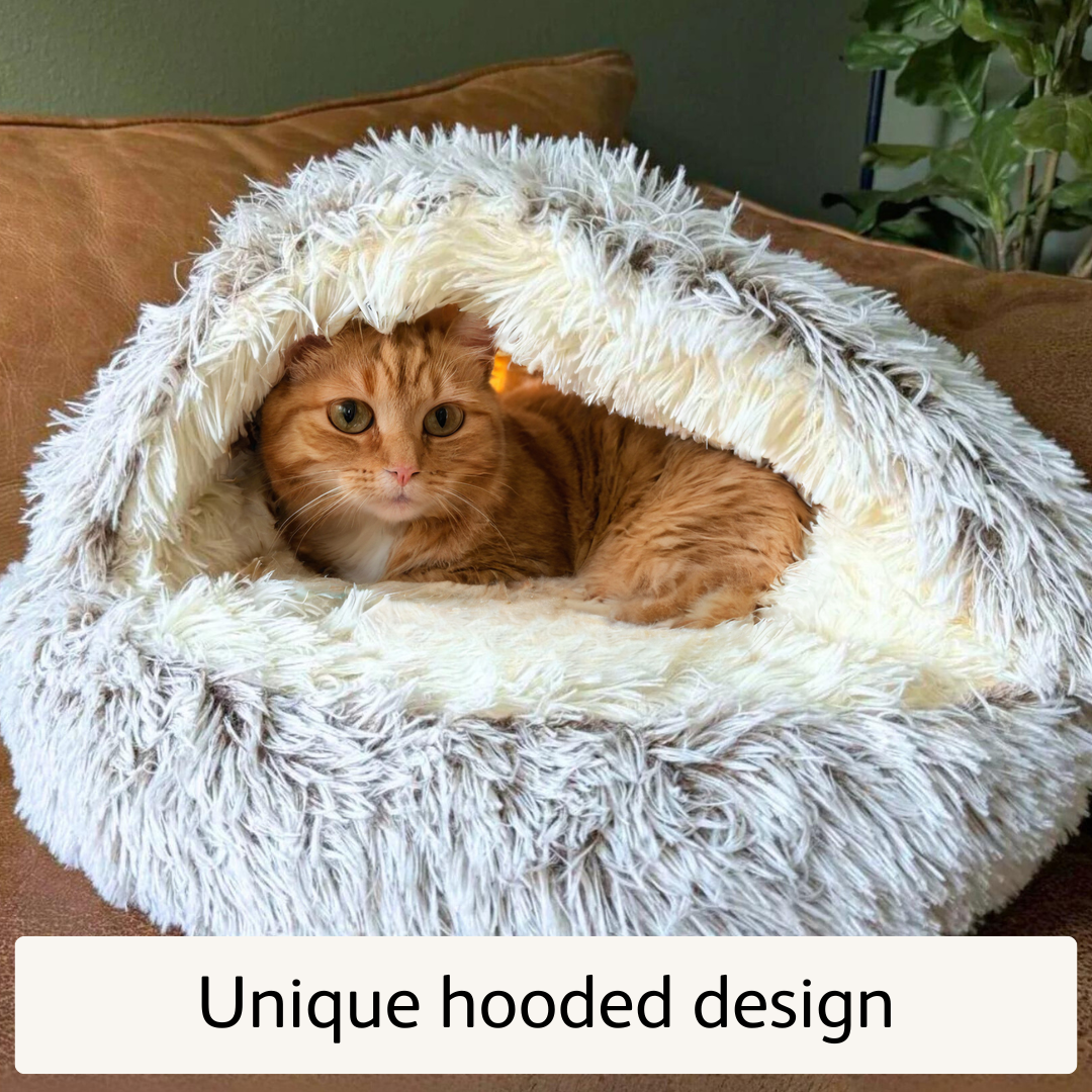 The Ultimate Cat Cave