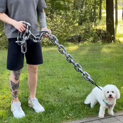 The Funny Chain Leash